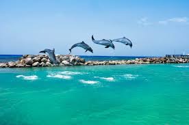 Dolphin-Cove-Tour-Relax-Tours-Jamaica
