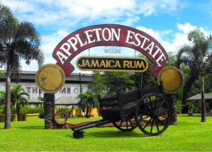 Appleton-Rum-Estate-Tour-Relax-Tours-Jamaica